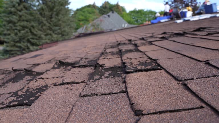 Fast & Reliable Emergency Roof Repairs in Shiloh, IL